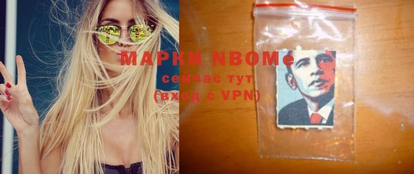 хмурый Гусев