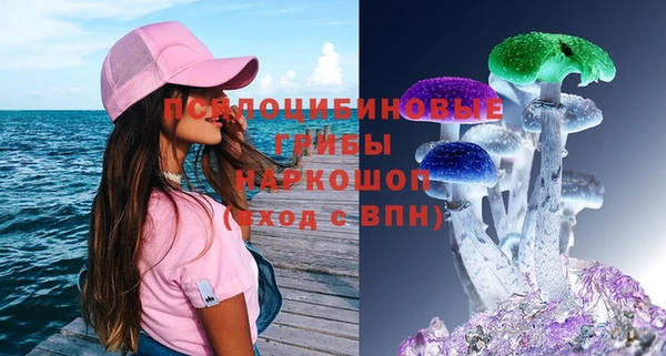 a pvp Гусиноозёрск
