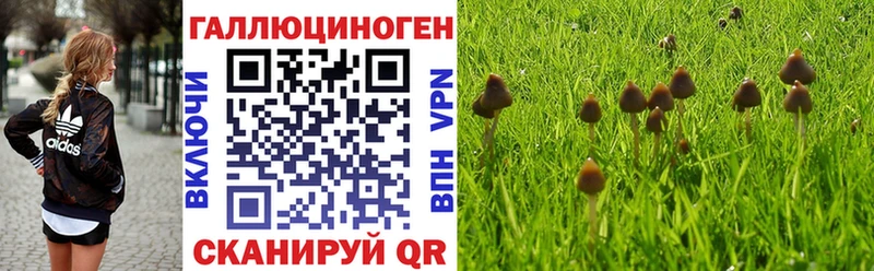 купить закладку  Джанкой  kraken ссылки  Галлюциногенные грибы Cubensis 