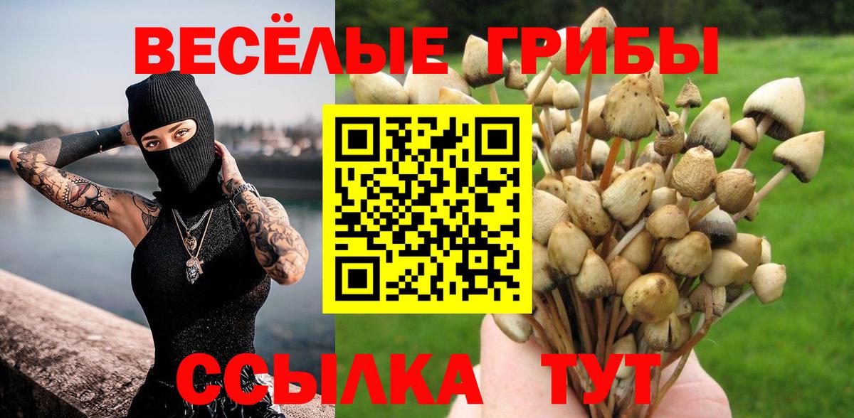 Джанкой  дарнет шоп  Вход с VPN  Псилоцибиновые грибы ЛСД 